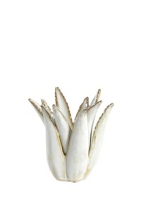 Cactus Kandelaar Ø11