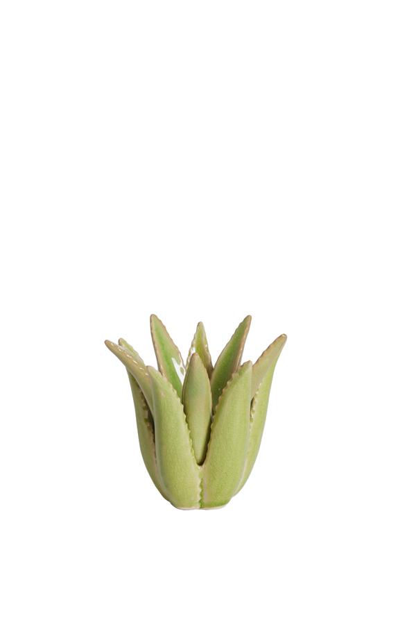 Cactus Kandelaar Ø11