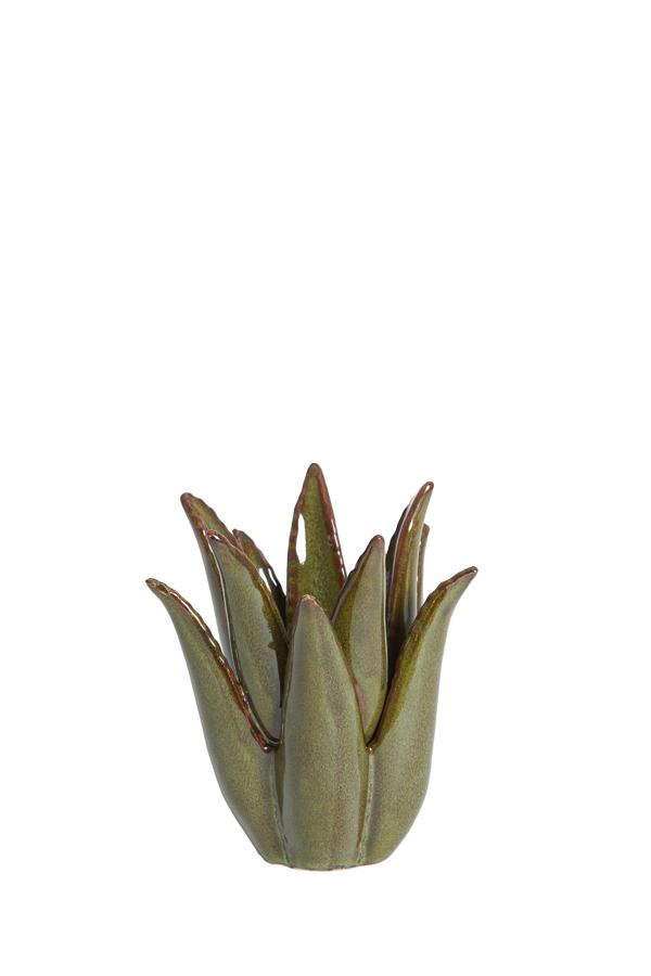 Cactus Kandelaar Ø11