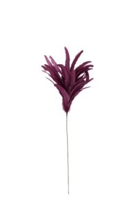 Plum Ornament Ø25x70 cm rood-paars