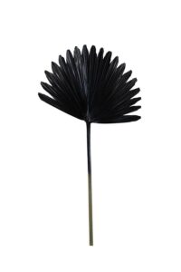 Plantae Ornament 40x78 cm zwart