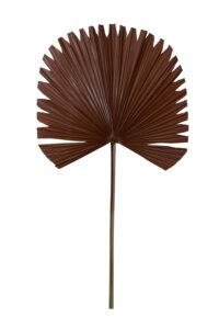 Plantae Ornament 50x91 cm cognac bruin
