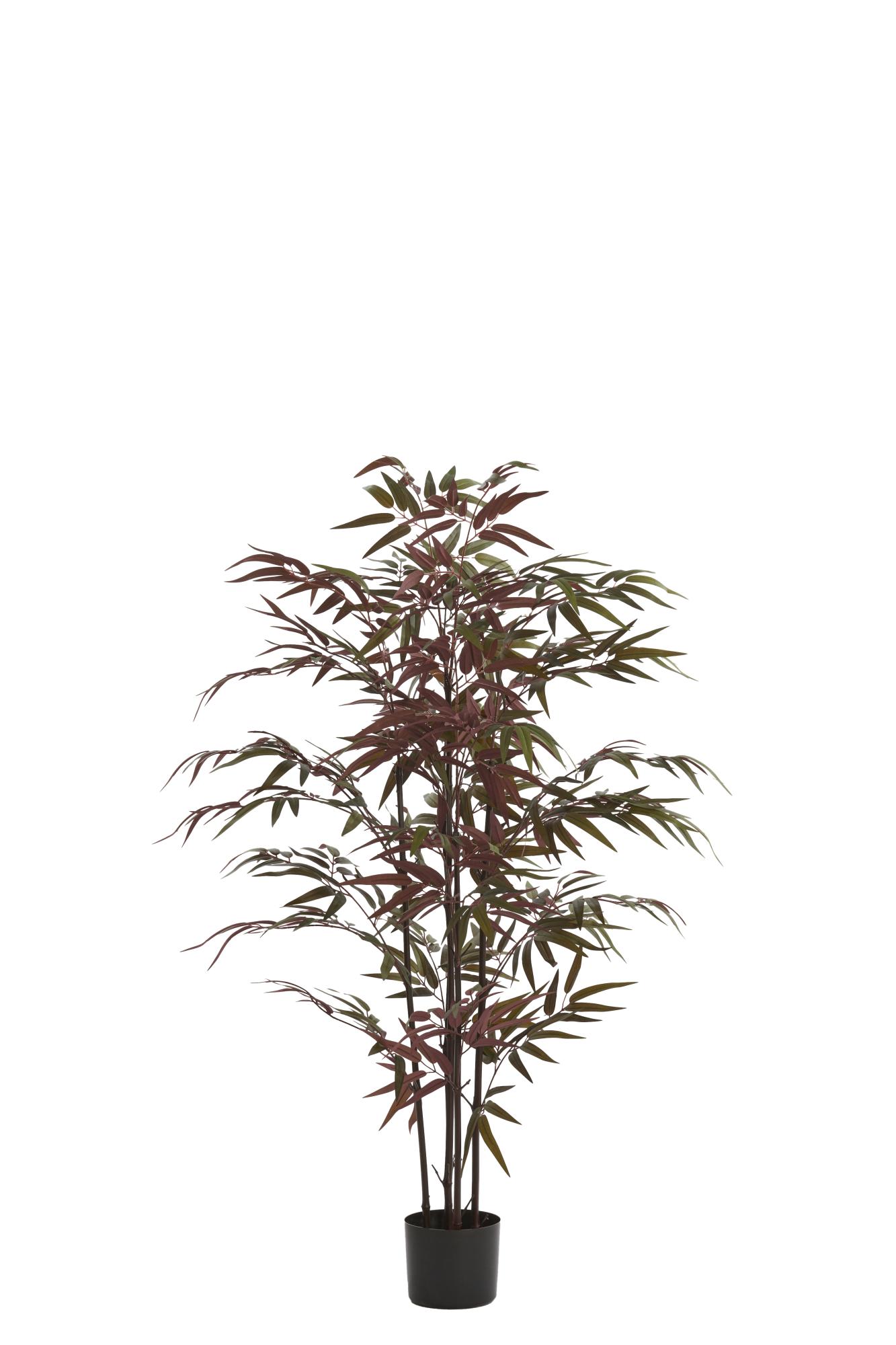 Bambo Ornament in pot 70x60x120 cm naturel+groen/rood