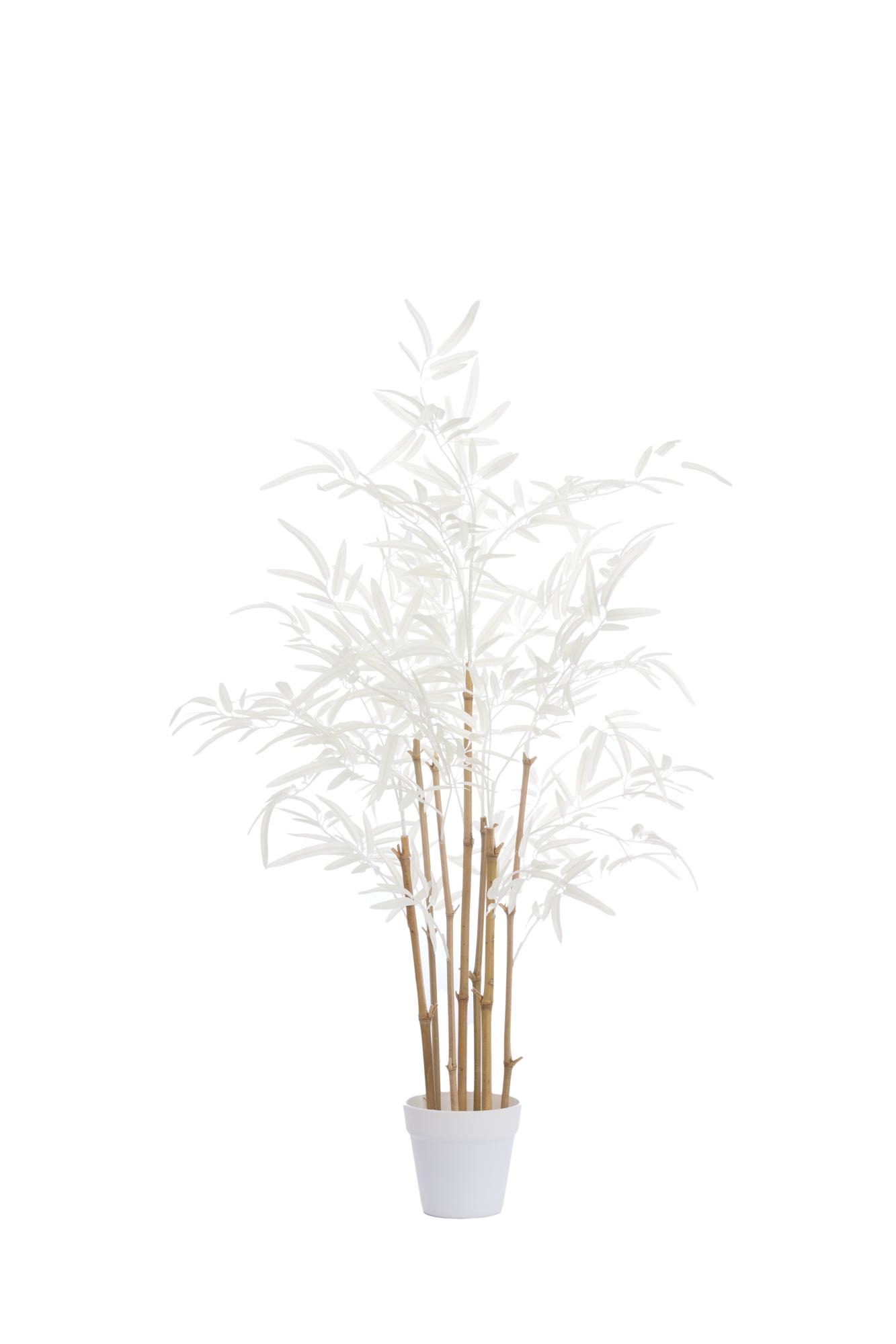 Bambo Ornament in pot 70x60x90 cm naturel+crème