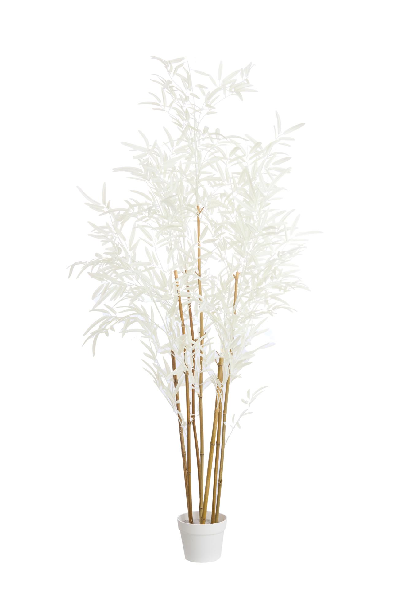 Bambo Ornament in pot 70x60x150 cm naturel+crème