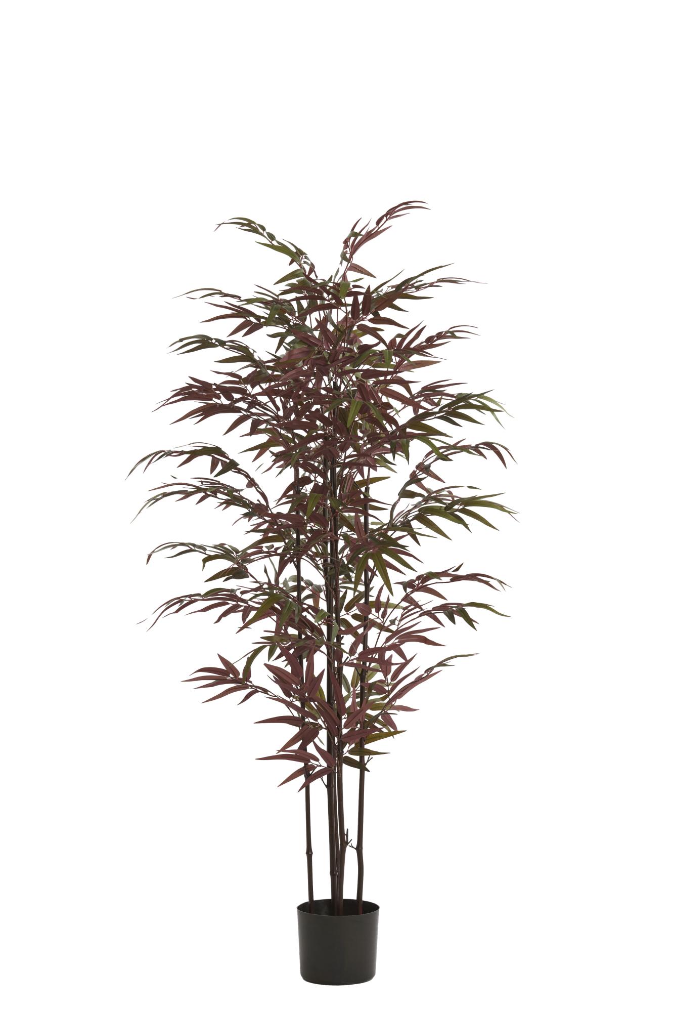 Bambo Ornament in pot 70x60x150 cm naturel+groen/rood