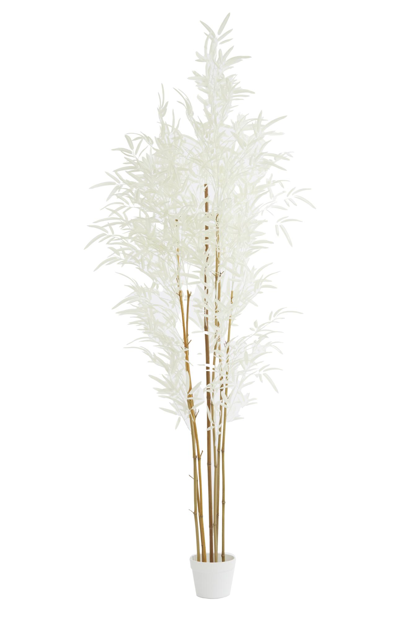 Bambo Ornament in pot 70x60x180 cm naturel+crème