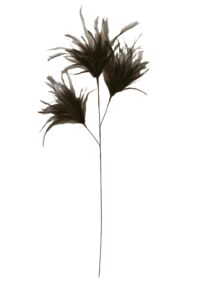 Feather Ornament 3 veren 78 cm donker bruin
