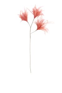 Feather Ornament 3 veren 78 cm koraal