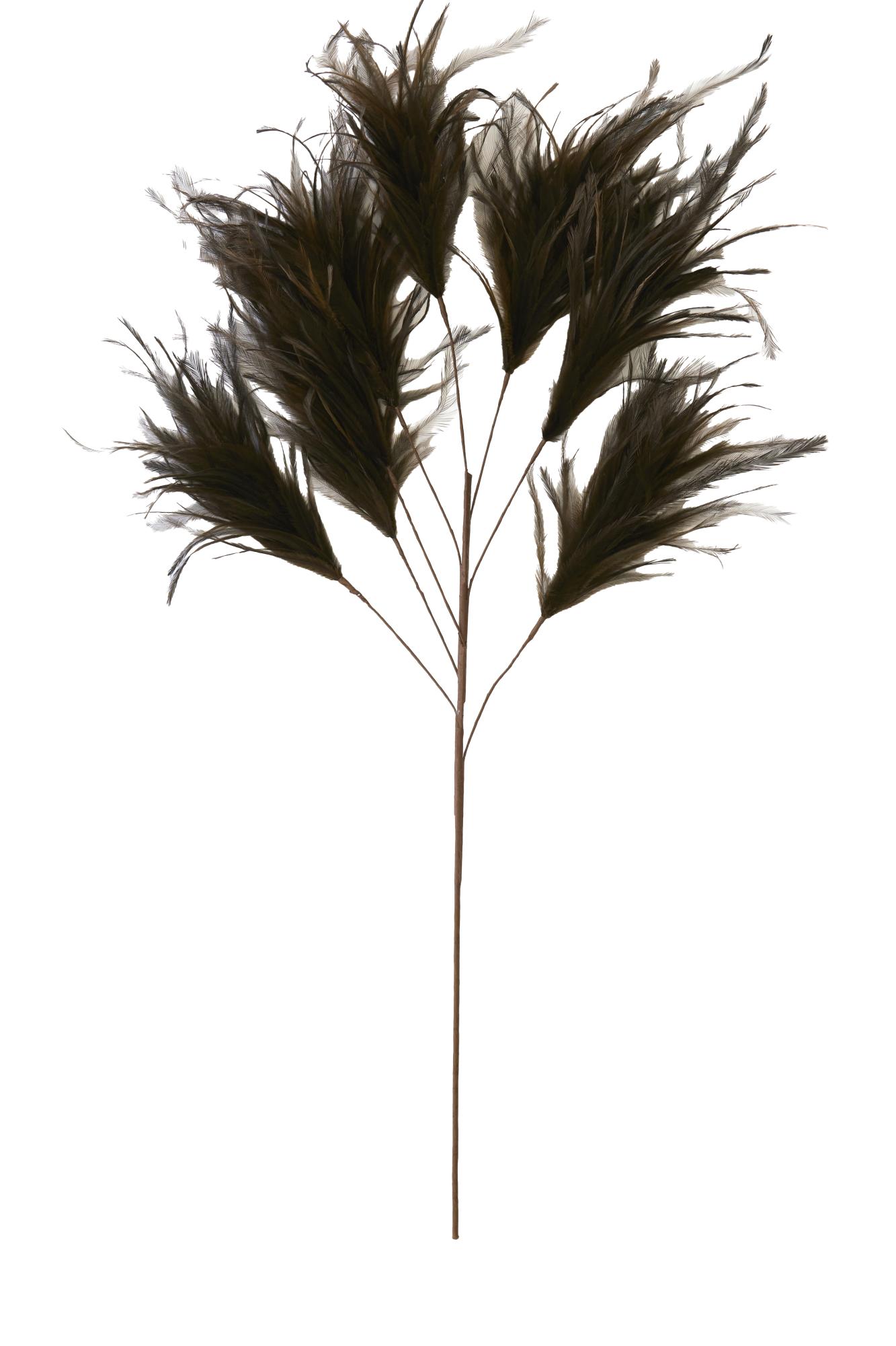 Feather Ornament 8 veren 95 cm donker bruin