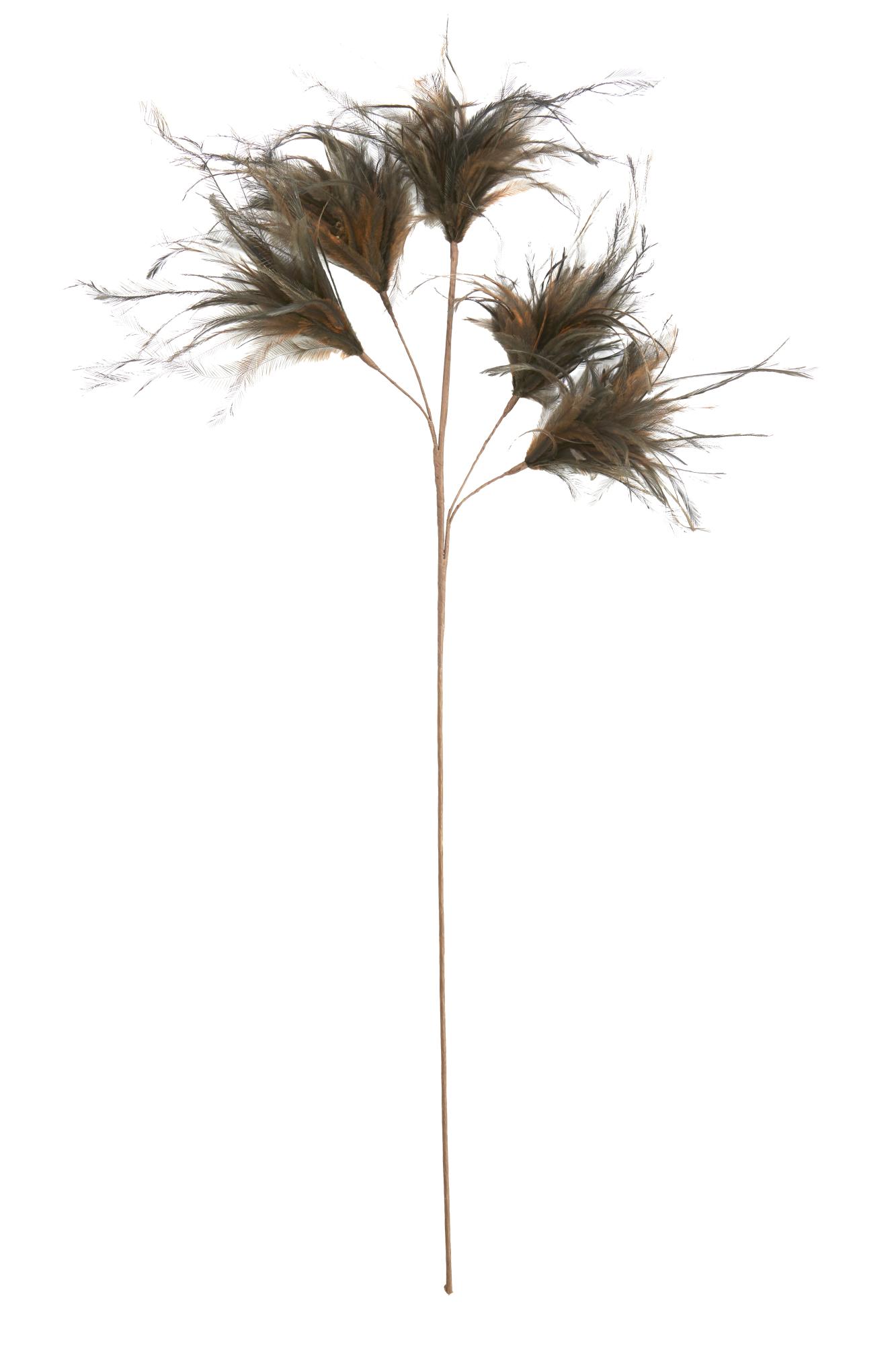 Feather Ornament 5 veren 95 cm donker groen
