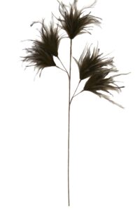 Feather Ornament 5 veren 95 cm donker bruin