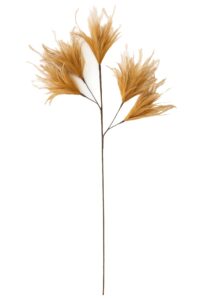 Feather Ornament 5 veren 95 cm licht bruin