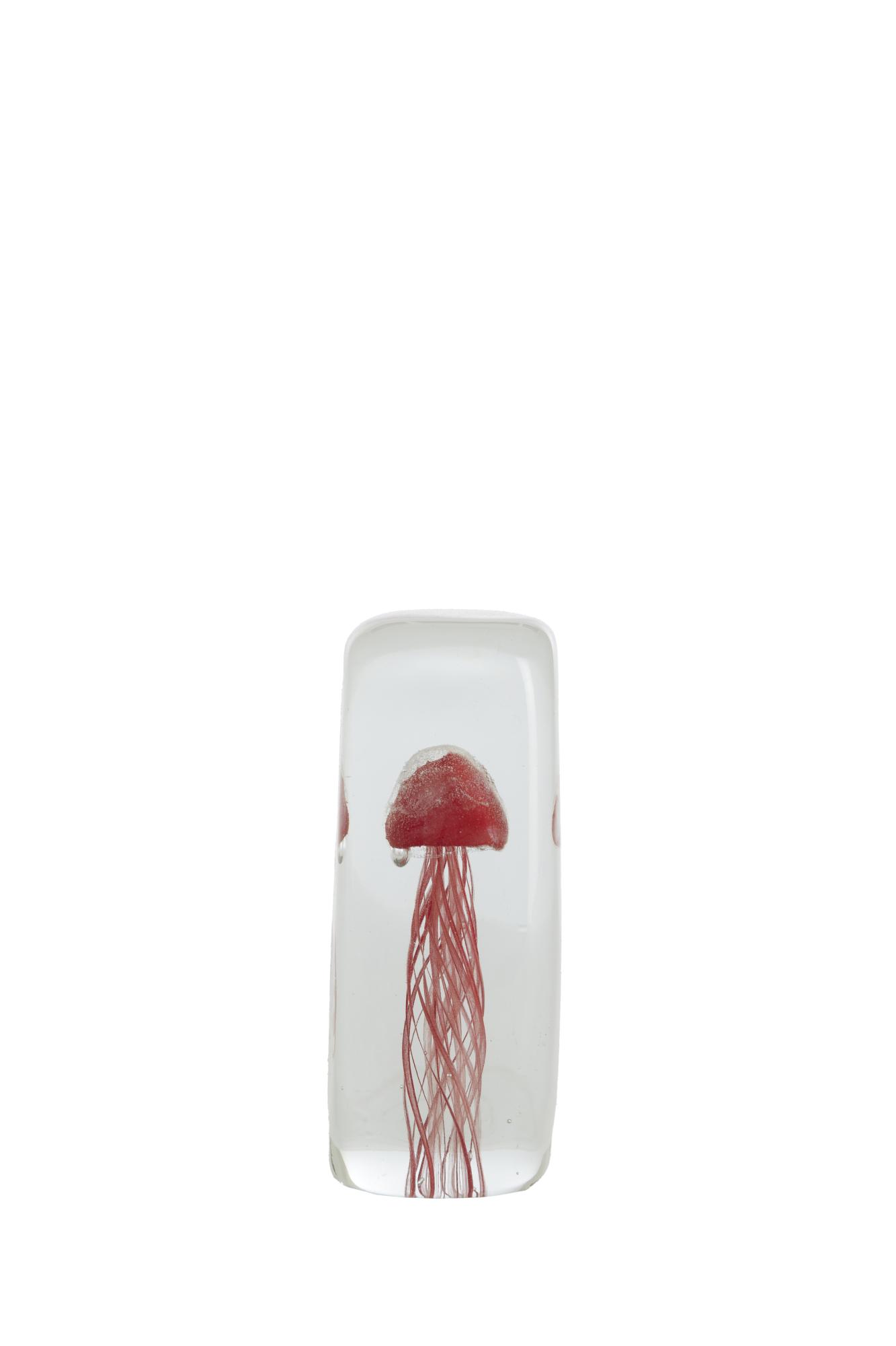 Jellyfish Ornament 5