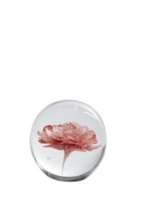 Flower Ornament Ø8x8 cm glas licht roze