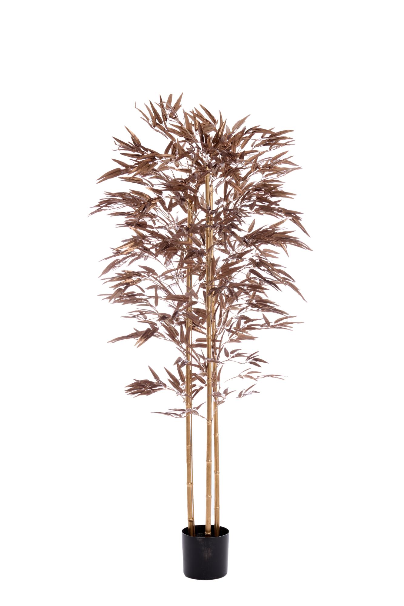 Bambo Ornament in pot 180x100x180 cm metallic donker brons
