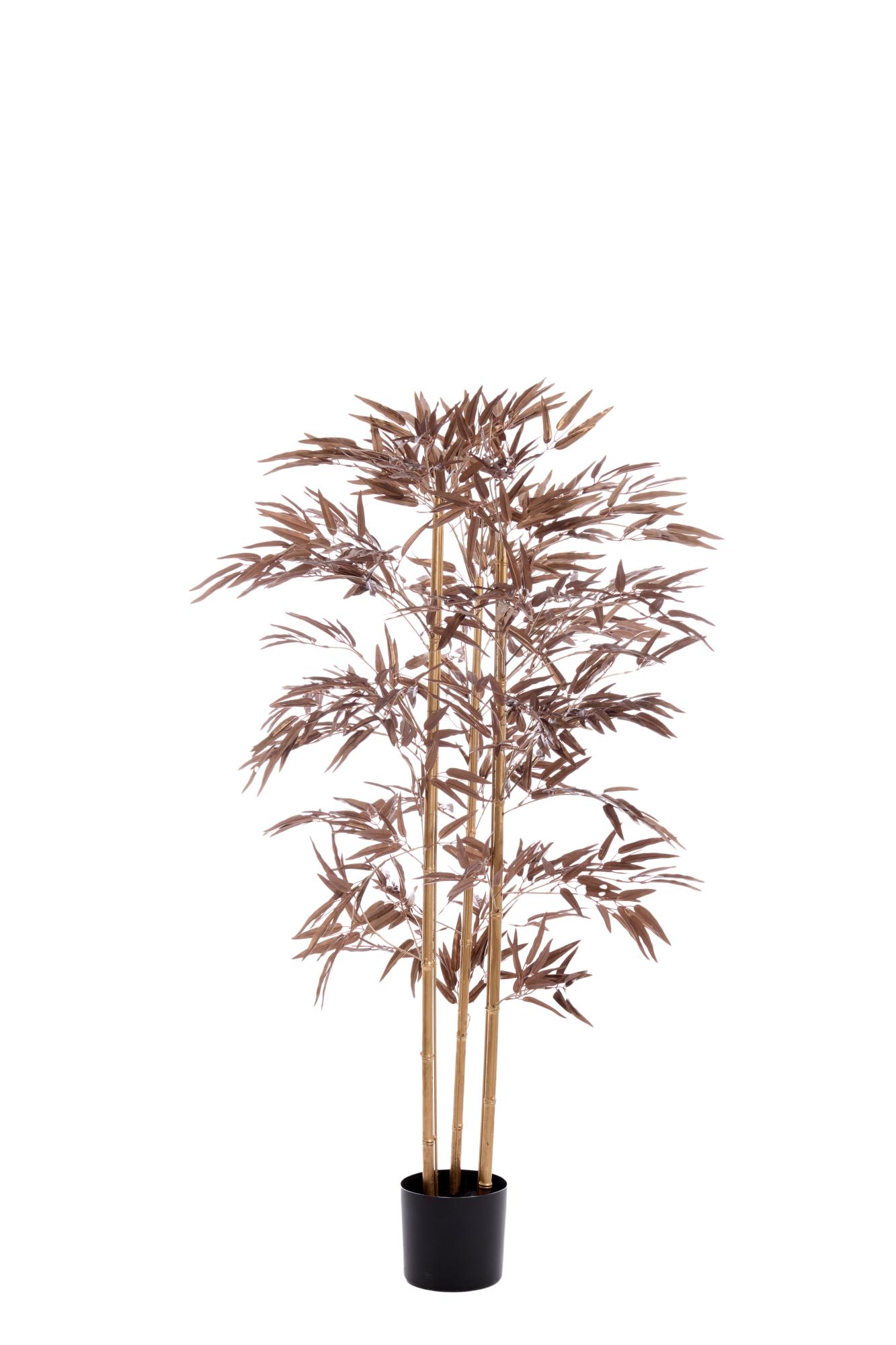 Bambo Ornament in pot 152x90x152 cm metallic donker brons