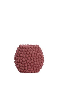 Raspberry Vaas deco 32