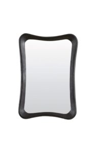 Alamos Spiegel 68x6x100 cm hout mat zwart